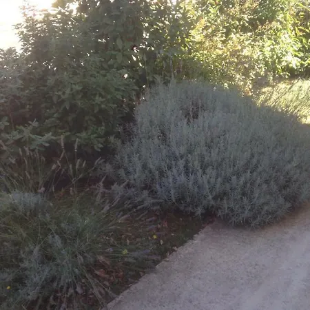 Σπίτι διακοπών Maison *